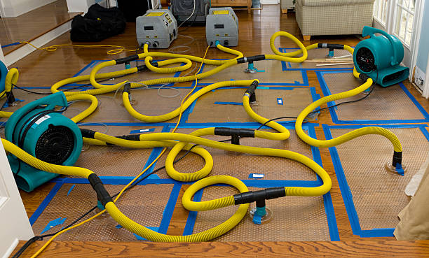 Professional Water Damage Restoration technician working in Port Orford, OR